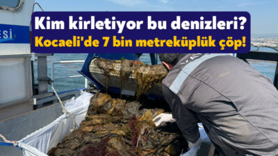 Kocaeli Büyükşehir Belediyesi Çevre Koruma ve Kontrol Dairesi Başkanlığı, 2008-2024