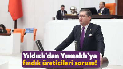 CHP Kocaeli Milletvekili Harun Özgür Yıldızlı fındık üreticilerine verilen desteği