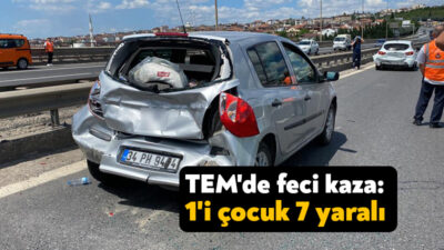 TEM Otoyolu'nun Kocaeli geçişinde seyir halindeki otomobilin sıkışan trafik sebebiyle