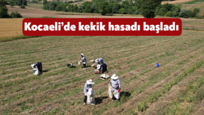 TABİP kapsamında 37 hektar alana dikilen ve elde edilen yağları
