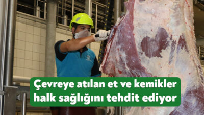 Kurban Bayramı'nda kesilen etlerin sokak hayvanlarının yemesi düşünülerek gelişi güzel