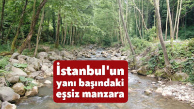 Kocaeli'nin Başiskele ilçesinde bulunan Serindere Kanyonu, eşsiz manzarası ve zorlu