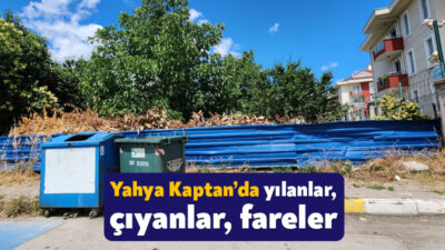 İzmit’in en gözde mahallesi Yahya Kaptan’daki Salkım Söğüt Caddesi’ndeki boş