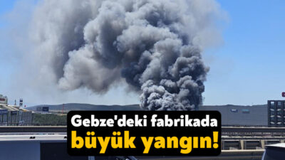 Kocaeli - İstanbul sınırında bulunan fabrika alevlere teslim oldu, bölgeye