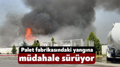 Kocaeli'nin Gebze ilçesinde bir palet fabrikasında çıkan yangına itfaiye ekiplerinin