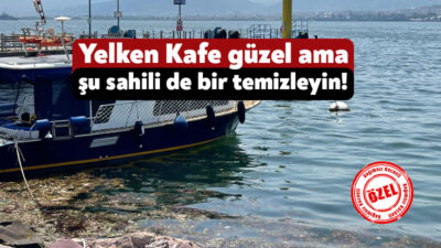 Derince Belediyesi tarafından işletilen Yelken Kafe sahilinde oluşan yosunlar, atıklar