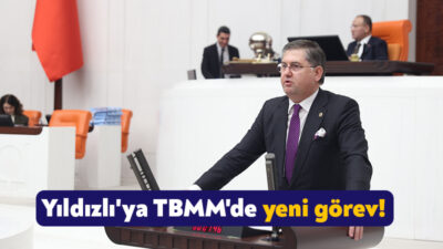 CHP Kocaeli Milletvekili Harun Özgür Yıldızlı, TBMM İnsan Haklarını İnceleme