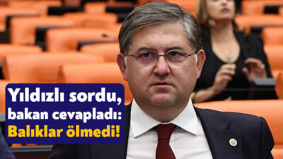 Kocaeli’de yol çalışmasının yapıldığı sırada NATO boru hattının delinmesi üzerine