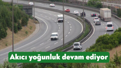 Kurban bayramını memleketlerinde geçirmek için yola çıkan vatandaşlar, TEM Otoyolu'nun