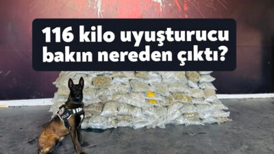 Kuzey Marmara Otoyolu'nun Kocaeli geçişinde durdurulan tırda, 116 kilo uyuşturucu