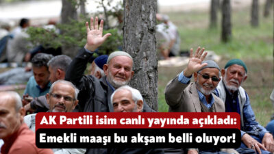AK Parti Grup Başkanı Abdullah Güler, emekli maaşlarına dair açıklama