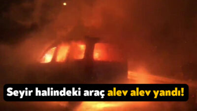 Kocaeli TEM Otoyolu Karayolu'nda seyir halinde olan araç alev topuna