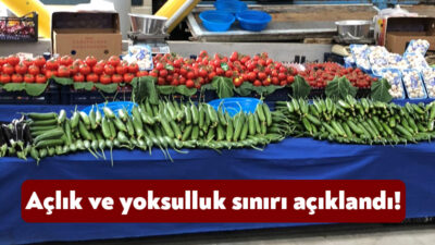 TÜRK-İŞ temmuz ayı açlık ve yoksulluk sınırını açıkladı. TÜİK’in açıkadığı