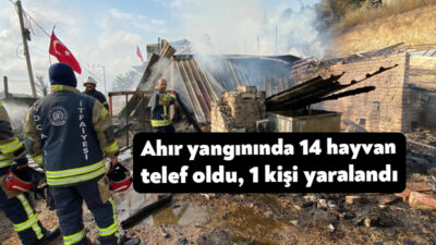 Kocaeli'nin İzmit ilçesinde ahırda çıkan yangında 13 büyükbaş hayvan ile