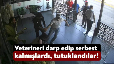 Kocaeli'de veteriner hekimi darp eden ve serbest bırakılan 3 şüpheli,