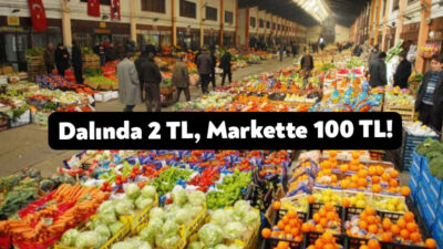 Limon üreticileri destek bekliyor. Dalında 2 liraya satılamayan limonun kilogramı