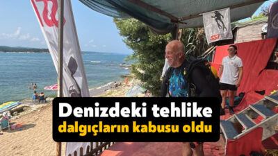 Kocaeli'nin Kandıra ilçesindeki Kerpe sahilleri, yaz aylarının gelmesiyle birlikte birçok