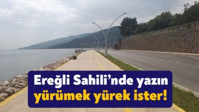 Ereğli Sahili’nde yapılan çift şeritli yol çalışması sonrasında bölgede ağaçların
