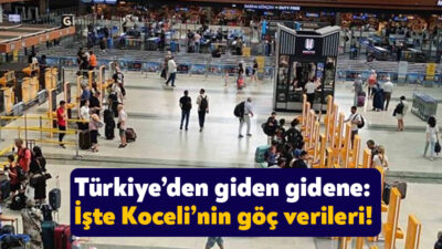 Türkiye İstatistik Kurumu Türkiye’den yurt dışına göç edenlere ilişkin verileri