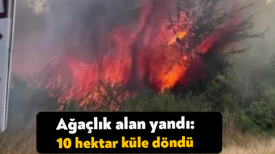 Kartepe'de ağaçlık alanda çıkan yangında 10 hektarlık alan küle dönerken,