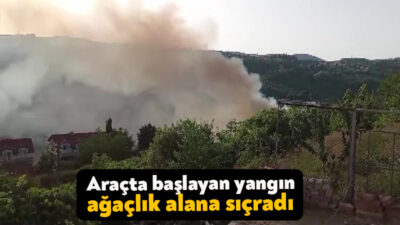 Kocaeli TEM Otoyolu'nda seyir halinde olan araç alev aldı. Yangın