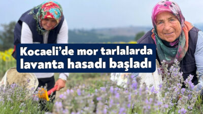 Büyükşehir Belediyesince katma değeri yüksek tıbbi ve aromatik bitki üreticiliğini