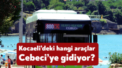 Kocaeli’de havaların ısınmasıyla birlikte günübirlik tatilciler de Kandıra sahillerine gidiyor.