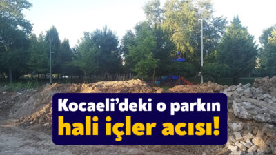 Kartepe’deki Şehit Kamil Akgün Parkı çevresinde yer alan parka dökülen