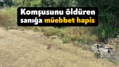 Kocaeli'nin İzmit ilçesinde beraber alkol içtiği komşusunu nişanlısına küfür ve
