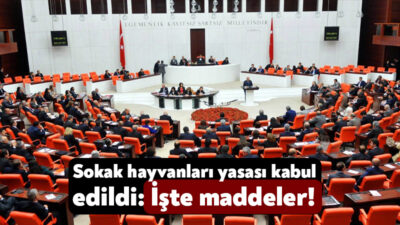 Türkiye’de uzun zamandır tartışılan ve mecliste de eldivenli protestolara, tartışmalara