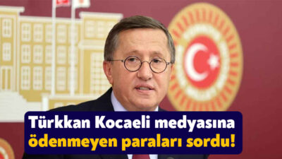 İYİ Parti Kocaeli Milletvekili Lütfü Türkkan Basın İlan Kurumu tarafından