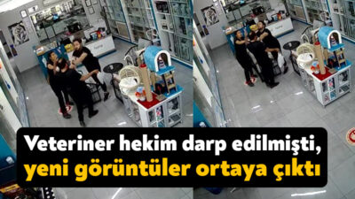 Kocaeli'nin Çayırova ilçesinde veteriner hekimin darp edildiği olaya ilişkin yeni