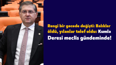 İzmit’in Alikahya mevkiinde bulunan Kumla Deresi’nin rengi bir gecede değişti,