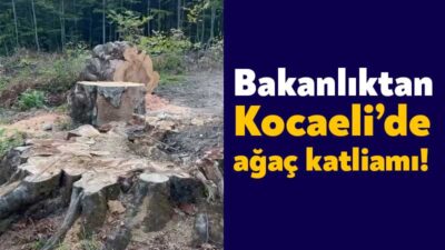 Enerji ve Tabii Kaynaklar Bakanlığı Kocaeli’nin Kartepe ilçesindeki Kuzuyayla Tabiat