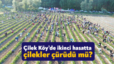 AK Parti İzmit İlçe Başkanı Halil Güngör Dokuzlar, Çayır Köy’de
