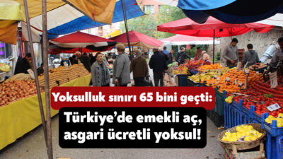Devrimci İşçi Sendikası’na bağlı Birleşik Metal-İş tarafından açlık ve yoksulluk