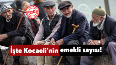Sosyal Güvenlik Kurumu Kocaeli’deki 4/A sigortası kapsamında bulunan kişilerin verilerini