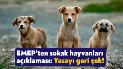 Sokak Hayvanları ile ilgili AK Parti tarafından meclise sunulan yasa