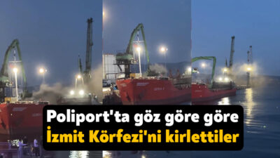 Polisan Holding'e ait Poliport Limanı'nda bir gemiden indirilen yük esnasında