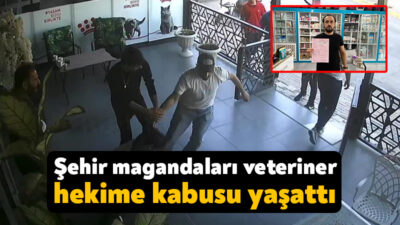 Kocaeli'de müşteri, alışveriş yaptıktan sonra para sebebiyle tartıştığı veteriner hekimi