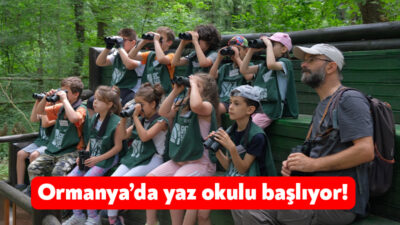 Ormanya’da yaz okulu başlıyor. 7-14 yaş arasındaki çocukları kapsayan programda