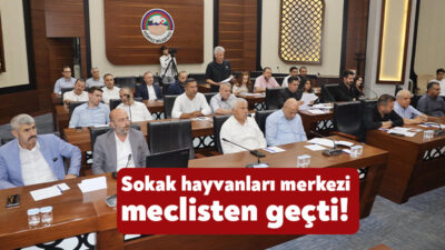 Körfez Belediyesi’nin Temmuz ayı meclis toplantısı gerçekleştirildi. Sokak hayvanları için