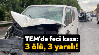 TEM Otoyolu'nun Kocaeli-Sakarya geçişinde minibüsün hafif ticari araca arkadan çarpması