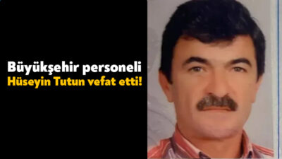 Kocaeli Büyükşehir Belediyesi Sosyal Hizmetler Dairesi Başkanlığı dairesinde görev yapan
