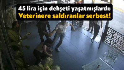 Kocaeli'nin Çayırova ilçesinde Veteriner Hekim Ali Özen'i darp eden 3
