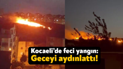 Kocaeli'nin Çayırova ilçesinde Aşıklar Tepesi'nde çıkan yangın geceyi aydınlattı. Yangın