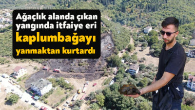 Kocaeli'nin Karamürsel ilçesinde mangal közünden çıktığı iddia edilen yangında 15