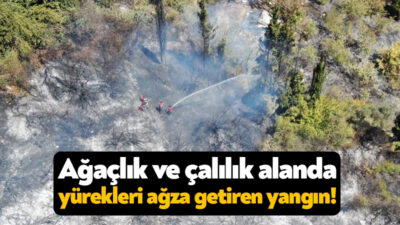 Kocaeli'nin İzmit ilçesinde bulunan ağaçlık ve çalılık alanda yangın çıktı.