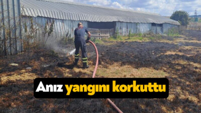 Kocaeli'nin Körfez ilçesinde çıkan anız yangını, itfaiye ekipleri ve köylülerin