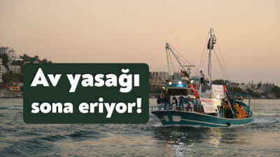 1 Eylül itibariyle balık av yasağı kalkıyor. Karamürsel Belediye Başkanı